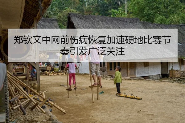 郑钦文中网前伤病恢复加速硬地比赛节奏引发广泛关注